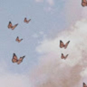 Meet your Posher, Riley